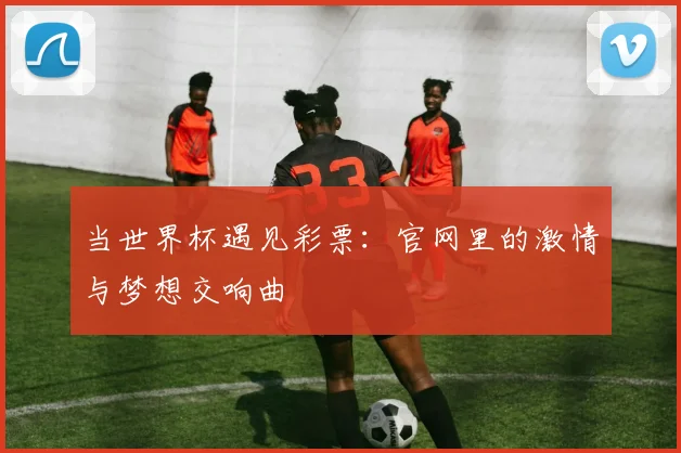 当世界杯遇见彩票：官网里的激情与梦想交响曲